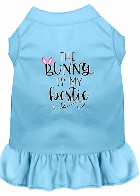 Bunny Is My Bestie Screen Print Dog Dress Baby Blue 4x (22)