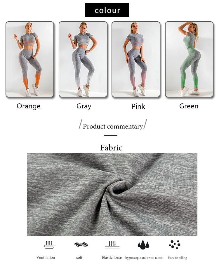 Seamless Women Long Sleeve Yoga Set